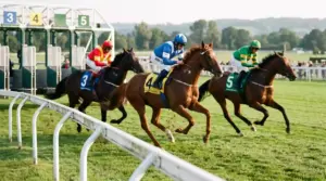 Best Odds Guaranteed Horse Racing — How BOG Works in 2026