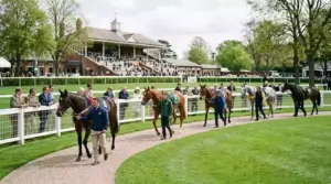 Horse Racing Free Bets UK — Best Offers Worth Taking (2026)