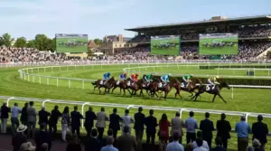 Horse Racing Live Streaming Betting — Watch Free UK Races